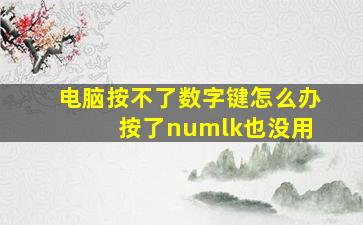 电脑按不了数字键怎么办 按了numlk也没用